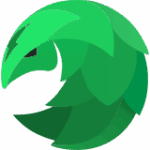 Логотип SaveShell VPN